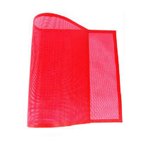 Non-Stick perforated Silicone Baking Mat